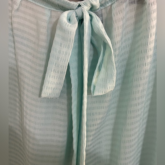 a.n.a Robin’s egg blue sheer top - Size Large - tie detail in the back - striped - Picture 3 of 6